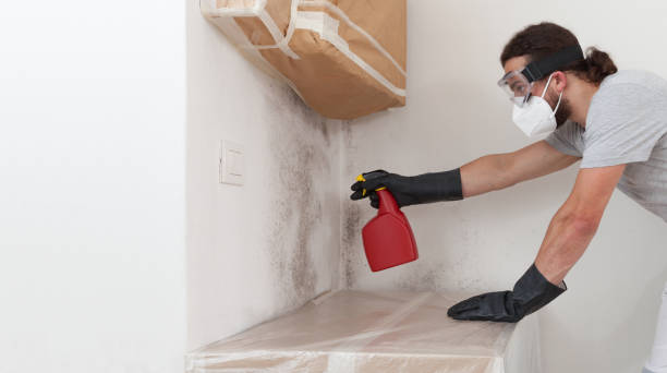 Professional Black Mold Removal technician working in Gaithersburg, MD
