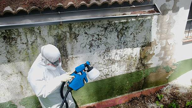 Trusted Mold Testing service in Gaithersburg, MD - Cheap Mold Removal